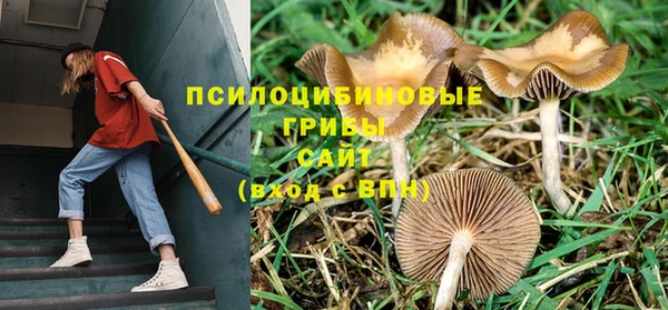 индика Арсеньев