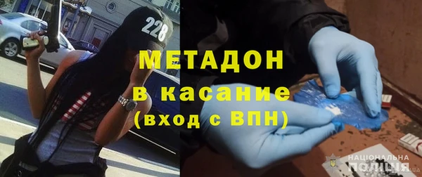 индика Арсеньев