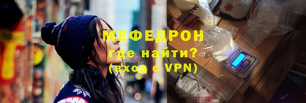 индика Арсеньев