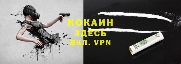 индика Арсеньев